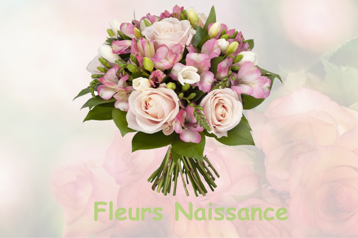 fleurs naissance BOUCHAMPS-LES-CRAON