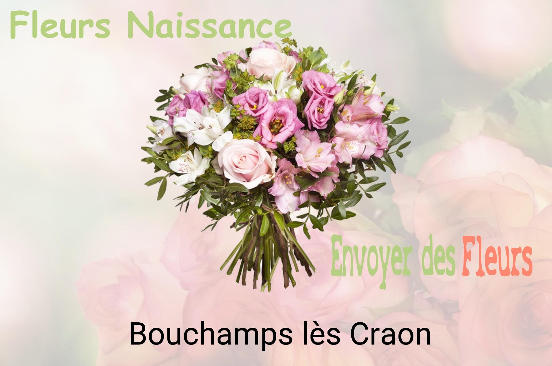 Bouquet de fleurs de naissance livré à Bouchamps-lès-Craon