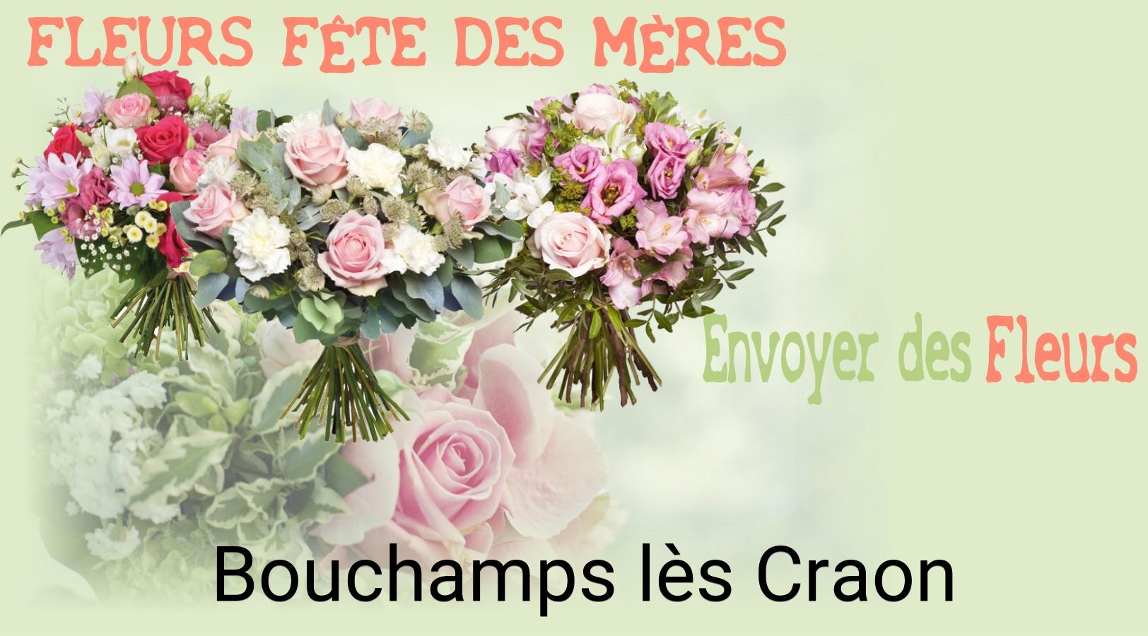 Bouquet de Fête des Mères livré à Bouchamps-lès-Craon